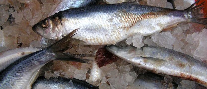 Koniec przetwórni ryb. Blisko 200 osób straci pracę