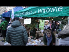 Jarmark Bożonarodzeniowy w Gryfinie