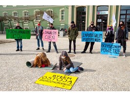 Protestowali przeciwko wycinkom drzew w Szczecinie