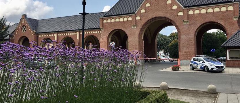 Cmentarne klomby w rozkwicie