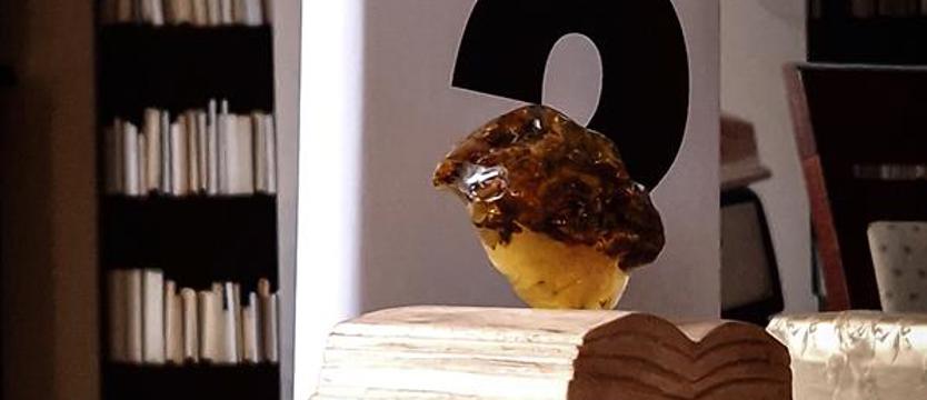 Kto otrzyma nagrodę Jantar. Piecioro nominowych