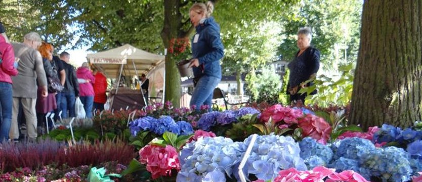 "Pamiętajcie o ogrodach" - jesienne wydanie. Nie tylko kwiaty i smaki