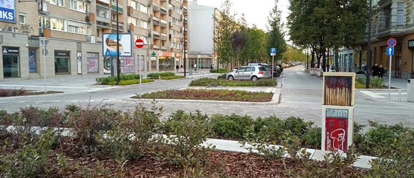 Aleja, design i zieleń. Co się podoba, a co uschnie