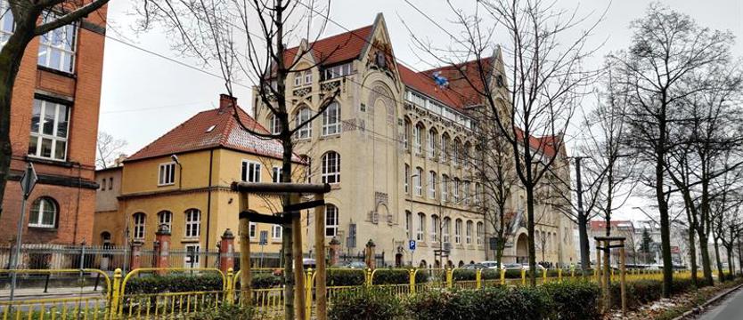 W mroźny grudzień sadzą drzewa