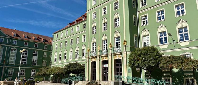 Jest zastępca dyrektora Wydziału Kultury