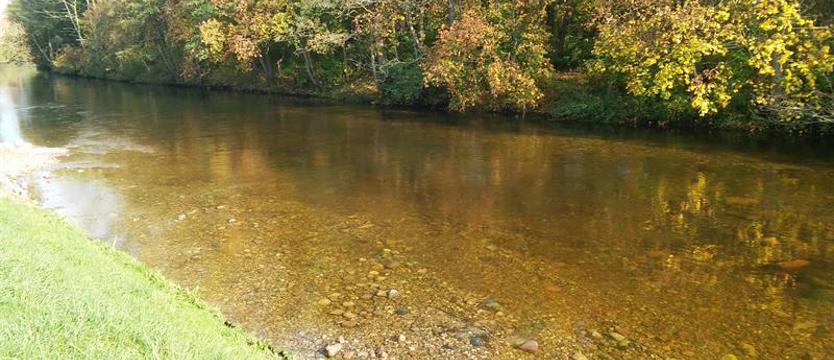 Program „Nasze Łowiska” częścią reformy rybactwa
