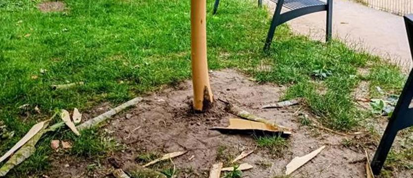 Dzieciaki w szale (z)niszczenia. Dobrze ubrani, ale odrażający i źli