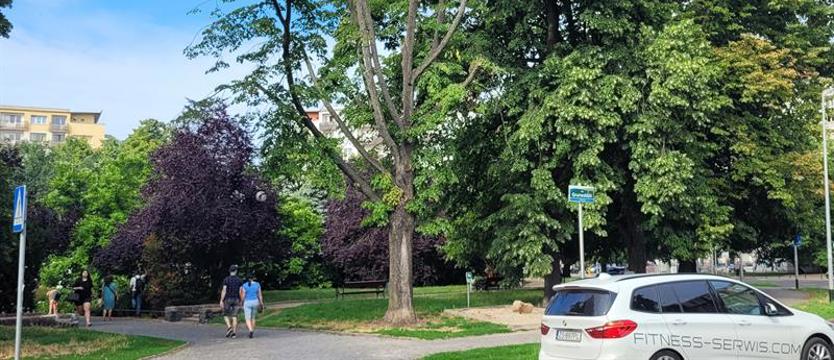 Lipa z lipami. Czytelnik: „Najciemniej pod latarnią?”