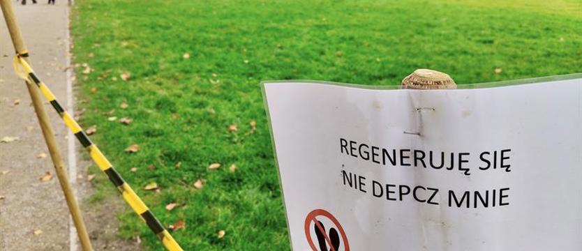 Zielona regeneracja na Jasnych Błoniach