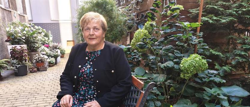 (kurier.kwiaty.10) Okno na podwórze