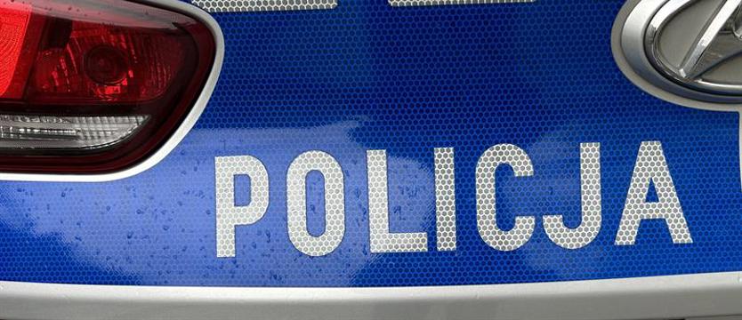 Poszukiwany przez Interpol szedł środkiem jezdni