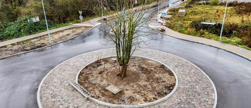 Drzewo, rondo i miejska inwestycja. Przesadzili na Kredowej