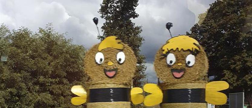 Konkurs Piękna Zachodniopomorska Wieś. Zgłoszenia tylko do 15 kwietnia