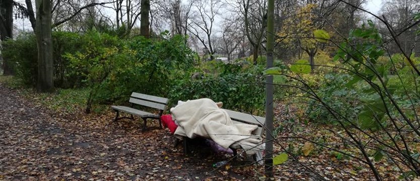 Schroniska i ogrzewalnie czekają na bezdomnych 