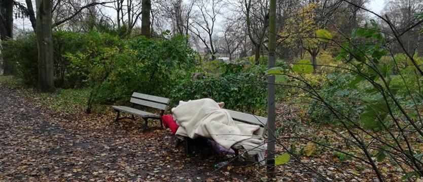 Schroniska i ogrzewalnie czekają na bezdomnych