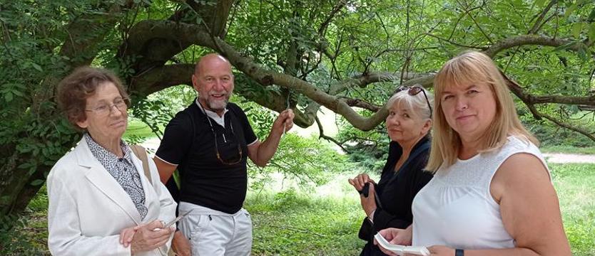 „Zielona partyzantka” w parku Żeromskiego