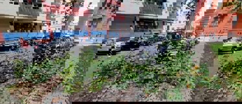 Oberwana gałąź uszkodziła kolejny samochód. Przycinki drzew mało skuteczne?