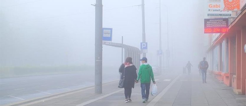 Synoptycy ostrzegają przed gęstą mgłą w Zachodniopomorskiem