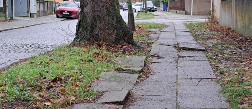 Krzywe chodniki w willowej dzielnicy