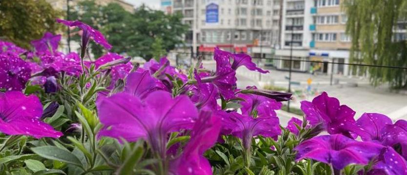 51. edycja naszego plebiscytu. Czekamy na zgłoszenia!