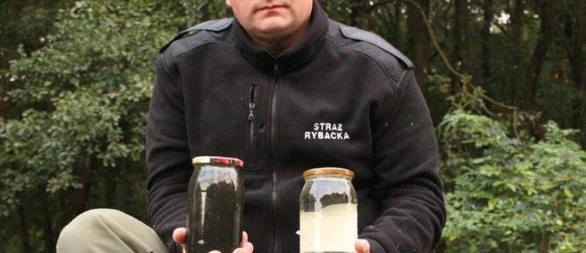 Dlaczego Sąpólna jest brudna i są w niej śnięte ryby?