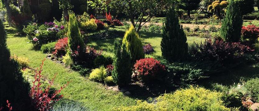 Czas na „Cały Szczecin w kwiatach”! Zaczynamy 49. edycję konkursu