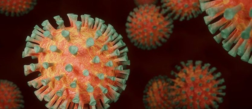 W niedzielę prawie 19 tysięcy nowych zakażeń koronawirusem w kraju. Zmarło 41 osób