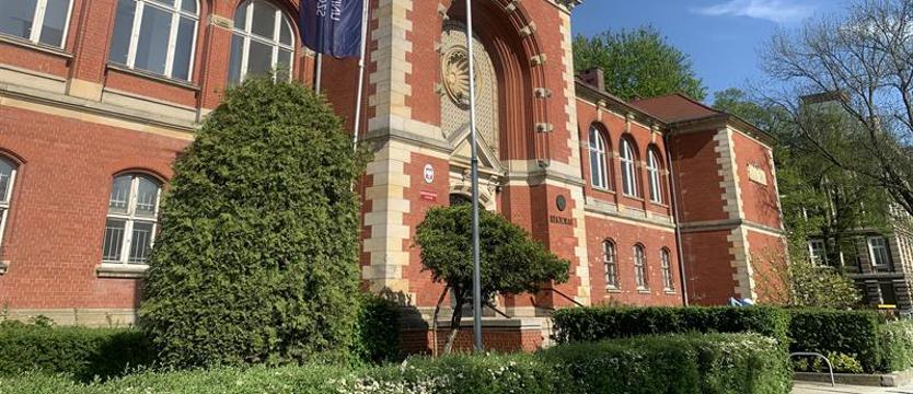 Krokusy (społecznie) dla Szczecina