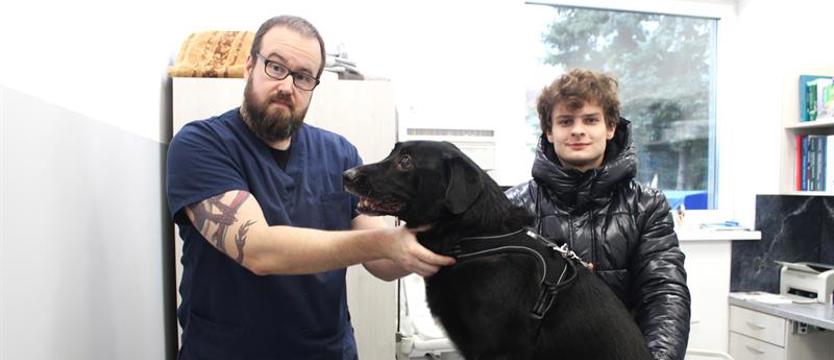 Trudny czas dla zwierząt. Jak chronić je przed sylwestrowym stresem?