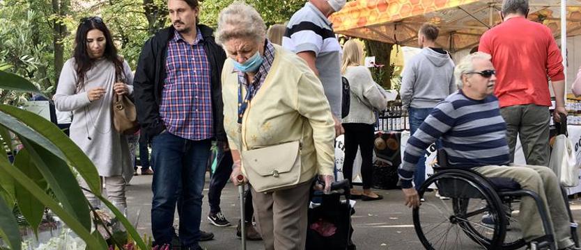 Pamiętajmy o ogrodach! Zieleń i przysmaki