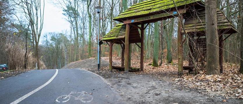 Nowa droga rowerowa pomiędzy jeziorem Goplana a węzłem Głębokie