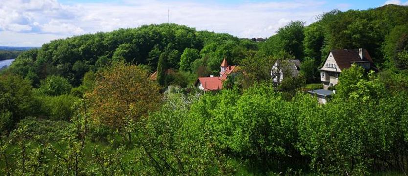 „Szlachetny” nazista z Gocławia. Hans B. Reichow i jego związki z NSDAP