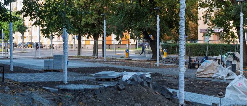 Nowy park rośnie w centrum Dąbia. Zielony środek zmienia Stary Rynek