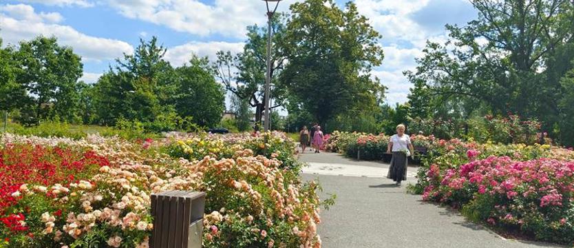 Mieszkańcy Stargardu już głosują. Jaki będzie Budżet Obywatelski?