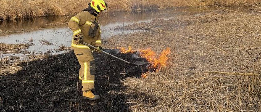Coraz więcej pożarów traw w Zachodniopomorskiem. Winna nie tylko susza