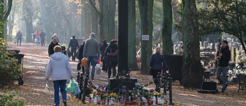 Poradnik dla odwiedzających szczecińskie cmentarze 31.10 i 1.11