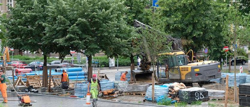 Lipa z nadzorem (wykonawcy) nad zielenią. Nie szkoda drzew?