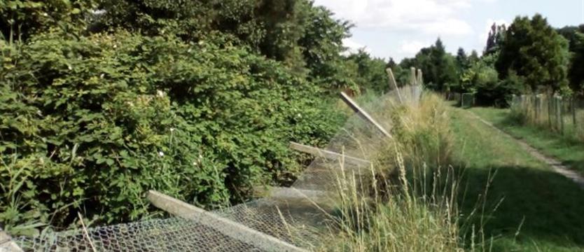 Podmyte ulice, powalone drzewa, zalane domy. To nie koniec nawałnic!