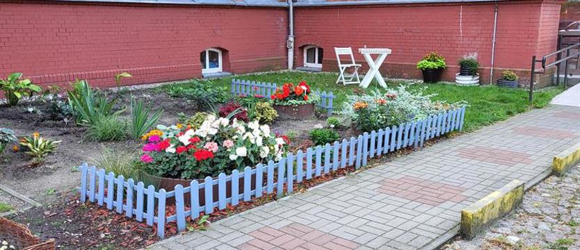 Najpiękniejsza zieleń. Kołobrzeg organizuje kolejny konkurs