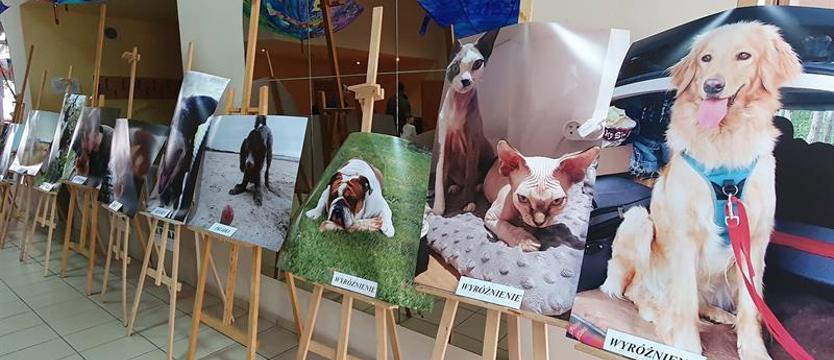 Konkurs fotograficzny. Pochwal się swoim pupilem