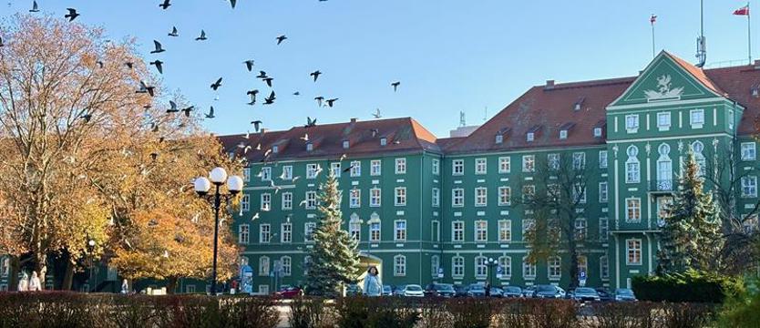 Szczecin nagradza przemocowców?