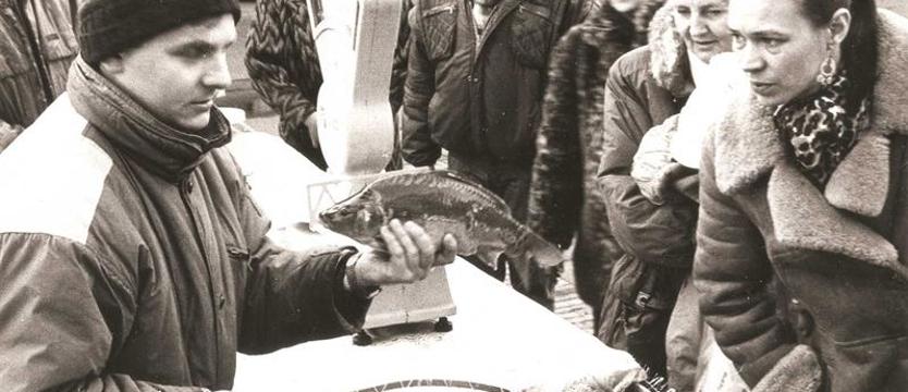 Żywe karpie na ulicy