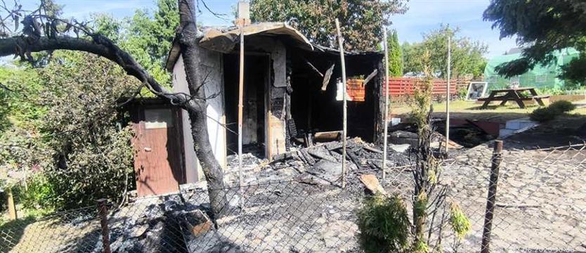 Działkowicze boją się bezdomnych