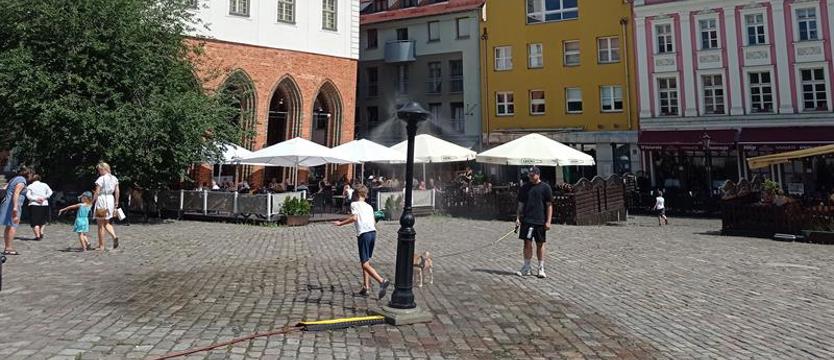 Mgiełka (także) przy Starym Ratuszu w Szczecinie