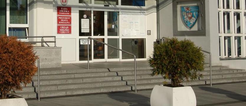 Cmentarz dla zwierząt. Koszalińscy radni podjęli oczekiwaną uchwałę