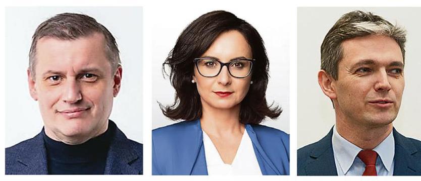 Co tam, panie, w polityce? Polscy posłowie do PE informują