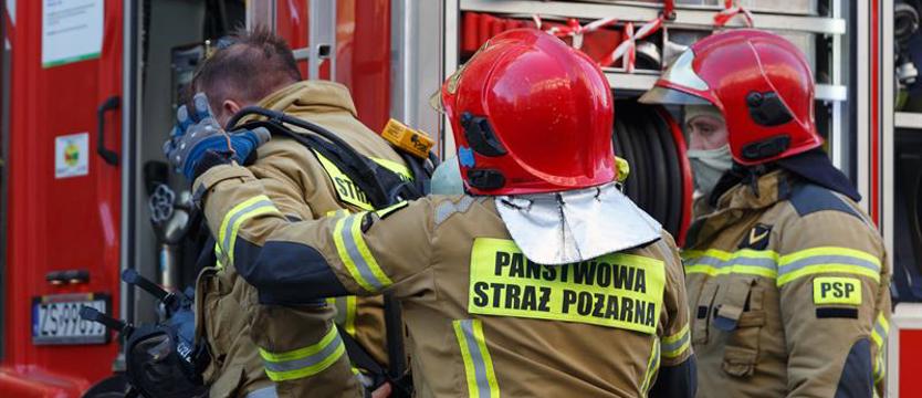 Pożar domku holenderskiego w Potulińcu. Jedna osoba nie żyje