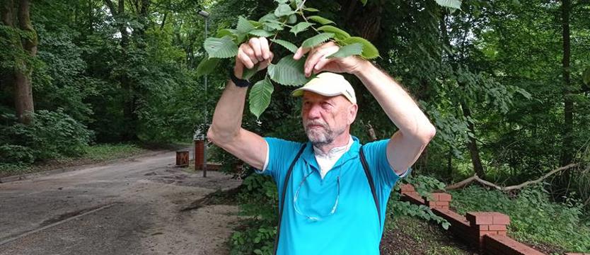 Nadchodzi czas „zielonej partyzantki". Dla ludzi i miasta - w ruchu społecznym