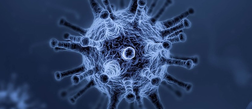 W kraju trochę ponad 300 przypadków SARS-CoV-2. W poniedziałek odnotowano 7 zgonów