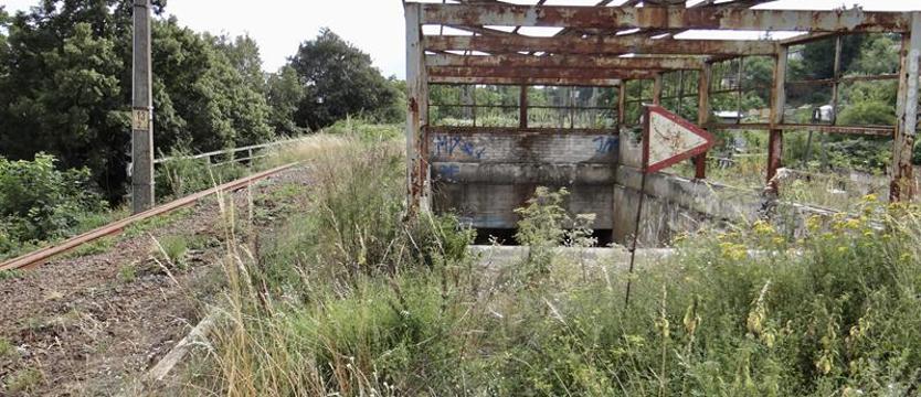 „Niewystarczający” potencjał na torach. Co dalej z koleją metropolitalną